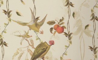 SEGRET GARDEN | Carta da parati con pappagalli stile inglese